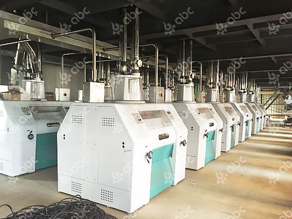 Algeria 60 TPD Wheat Flour Plant Installation