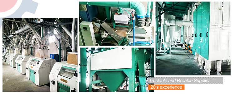complete flour milling project