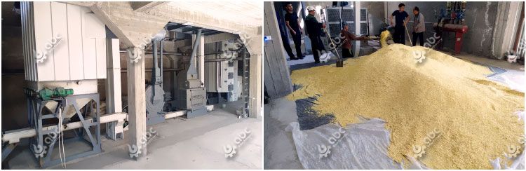 Soya Meal Pretreatment Process in Soy Protein Isolation